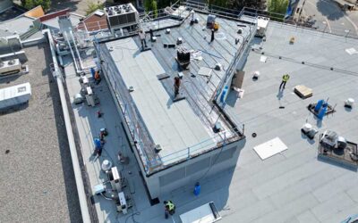 What Are The Real Costs of Ignoring An Aging Roof?