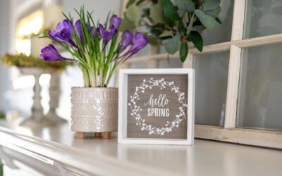 Review Your Roof This Spring: What BC Property Owners Should Address in March